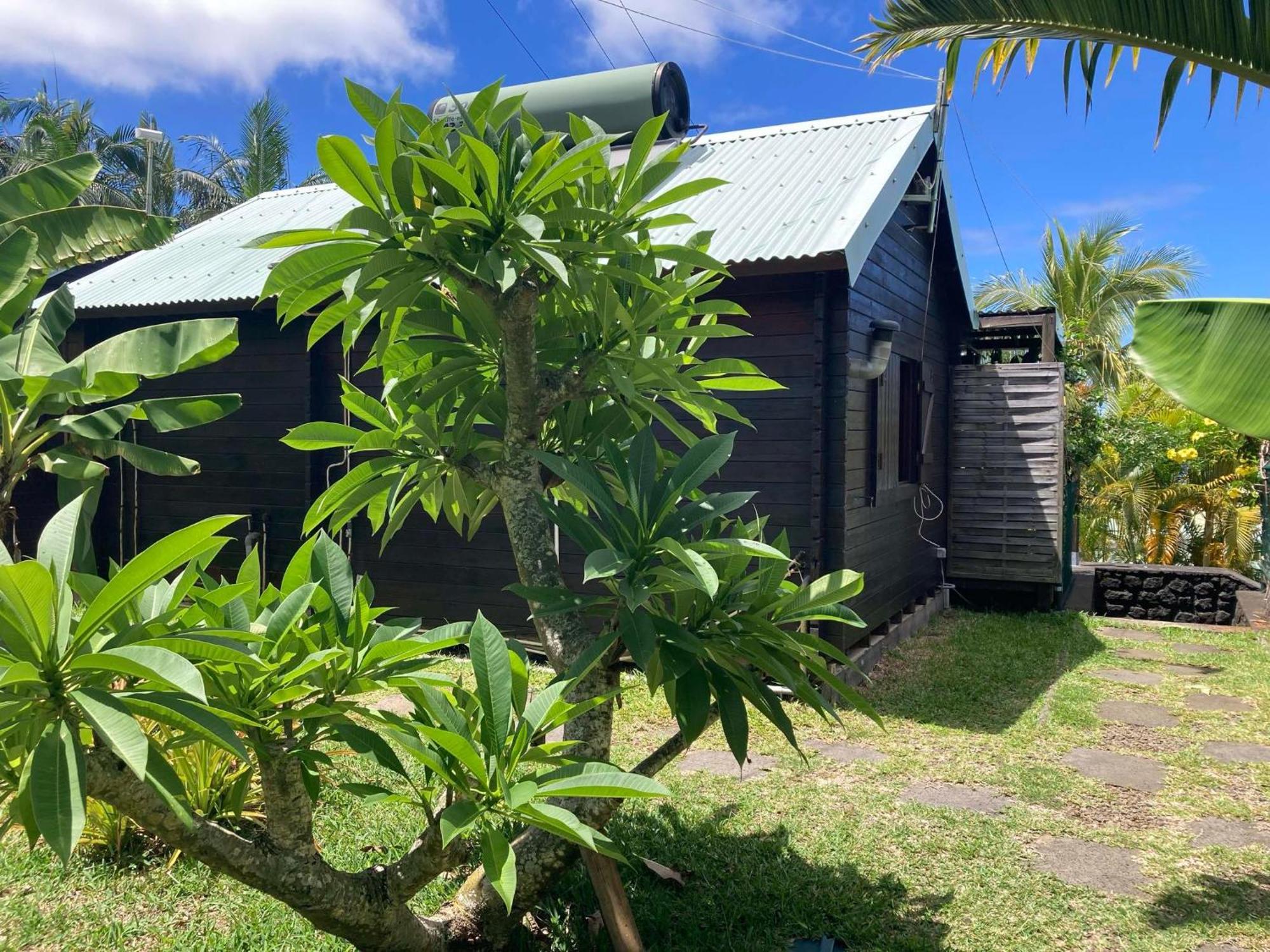 Les Bungalows Les Vanilliers, Sud Sauvage Avec Piscine Saint-Joseph Exterior photo